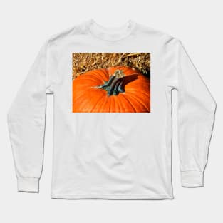 Pumpkin Stem Long Sleeve T-Shirt